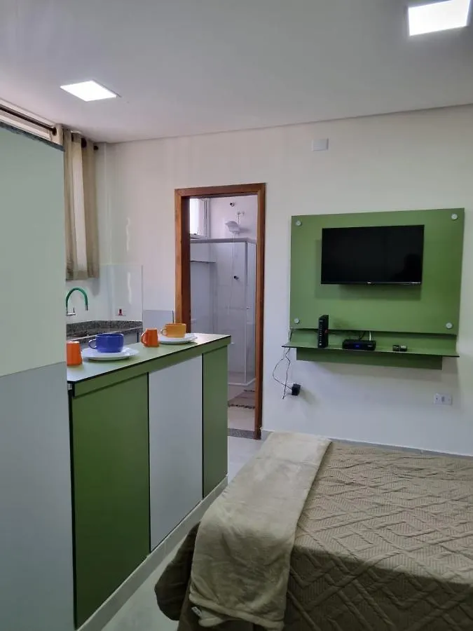 Studio Ana Ribeiro Apartment Sao Paulo